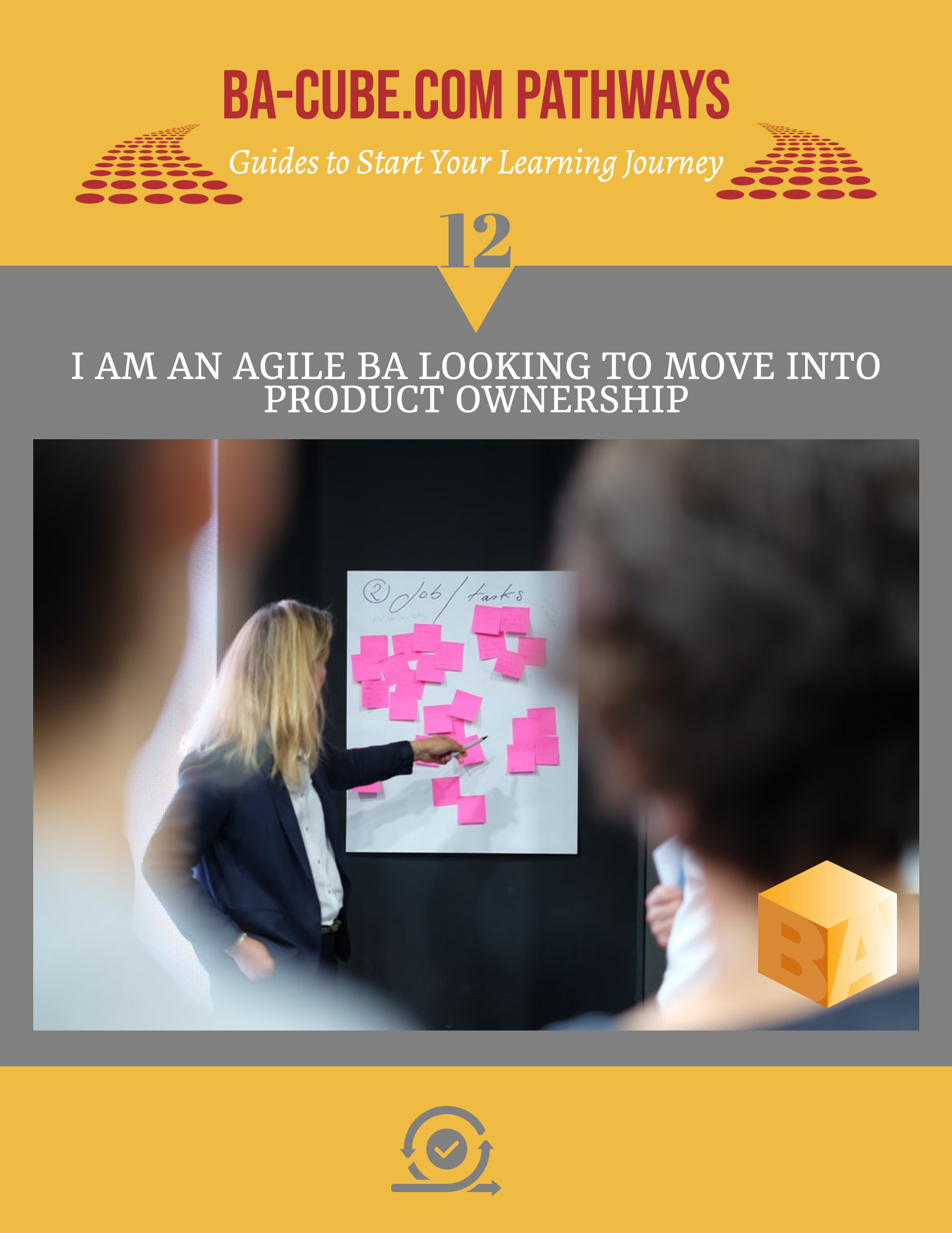 Pathway 12: I am an Agile BA Looking to Move into Product Ownership