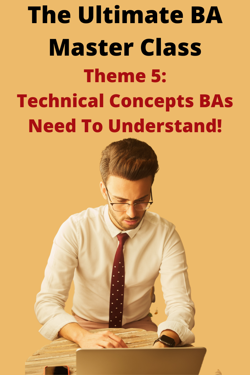 Theme 5: Technical Concepts for Business Analysts