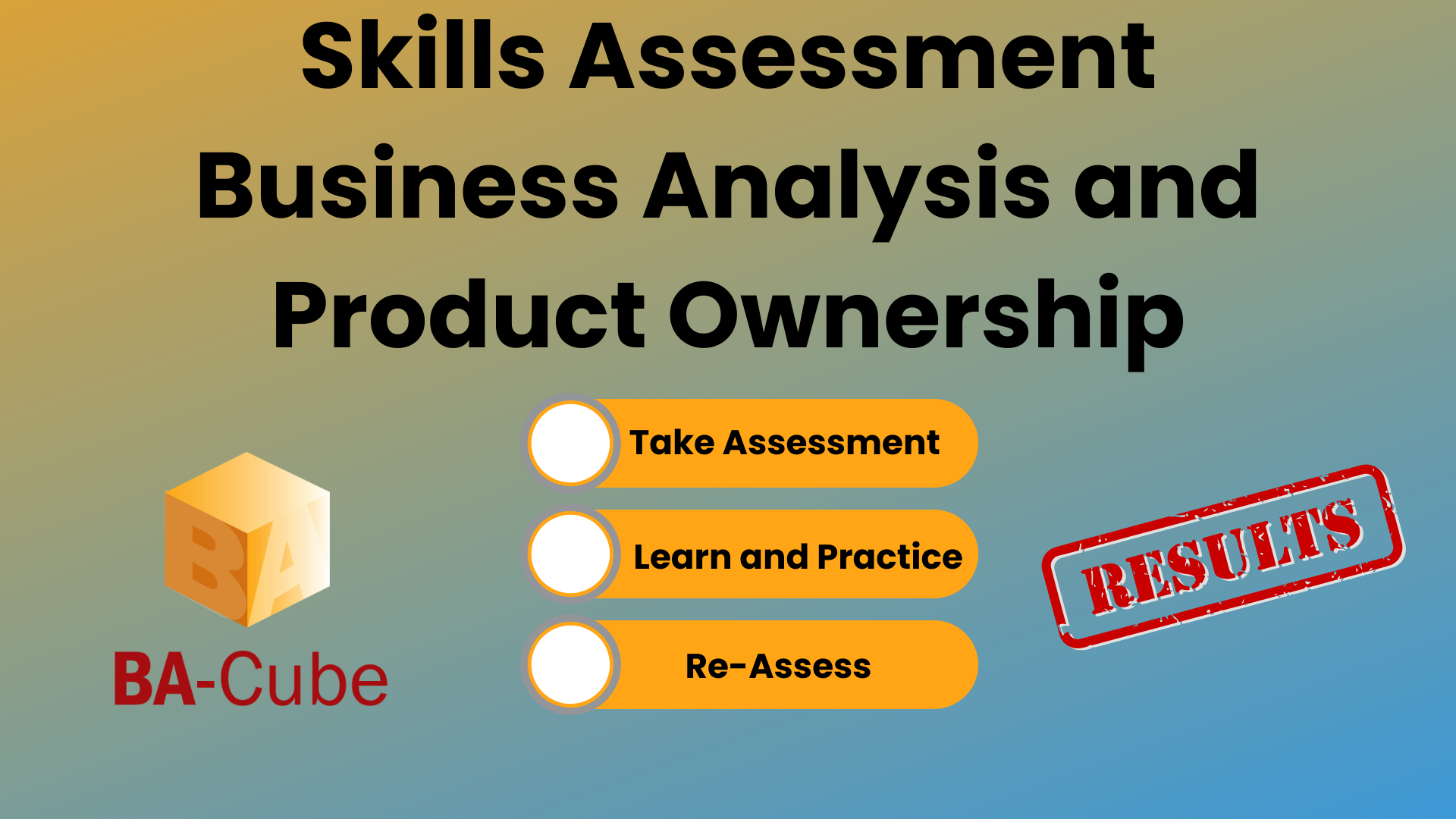 Agile BA Assessment Results Bullets